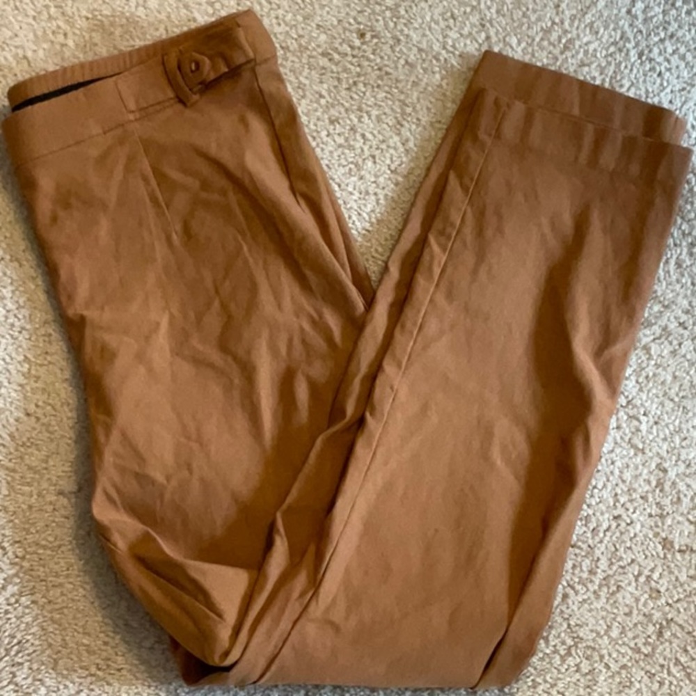 Violets & Roses (Stitchfix) pant size 12/31, copper color, ankle cut